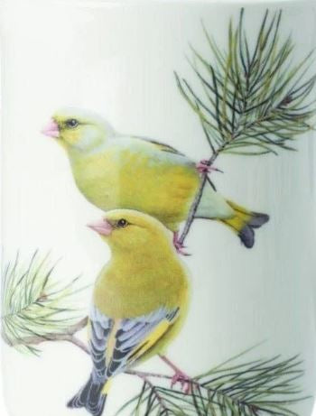 Maxwell Williams Birds of The World Greenfinches