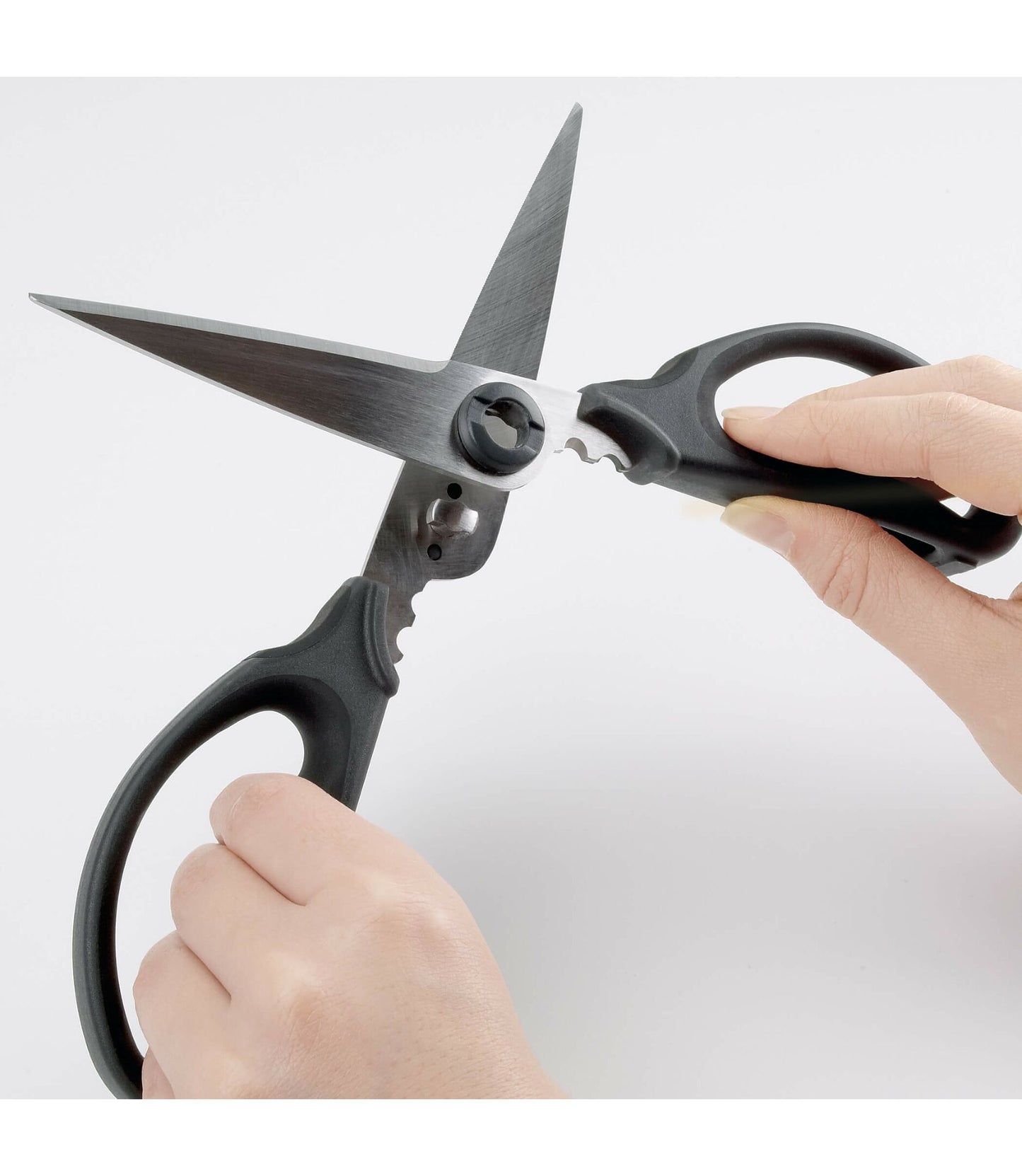 OXO Kitchen and Herb Scissors