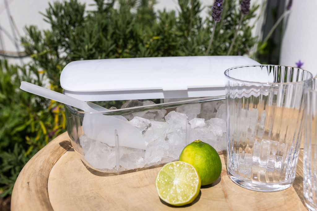 Home Classix Ice Cube Container & Moulds 27.8x12.5