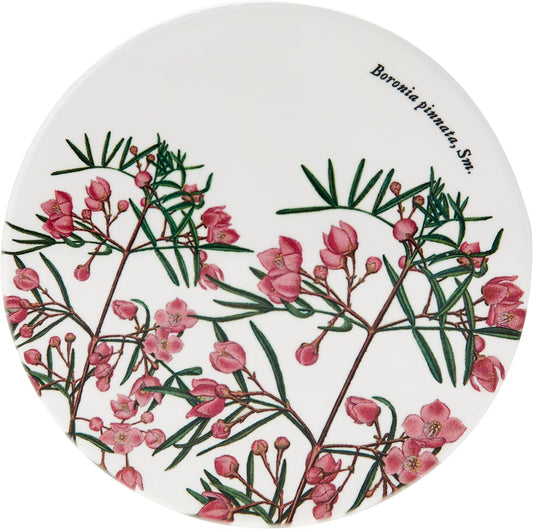 Maxwell Williams Royal Botanic Coaster Boronia