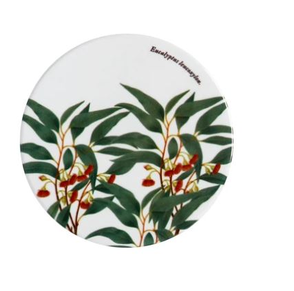 Maxwell Williams Royal Botanic CoasterFloweringGum