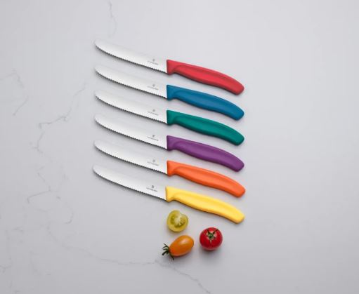 Victorinox Table Knife Set Multicolour Set of 6