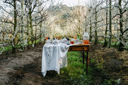 Two In A Bush Honeybush Rooibos Cordial