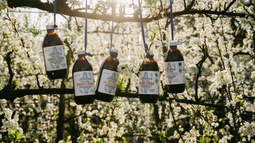 Two In A Bush Citrus Rooibos Cordial