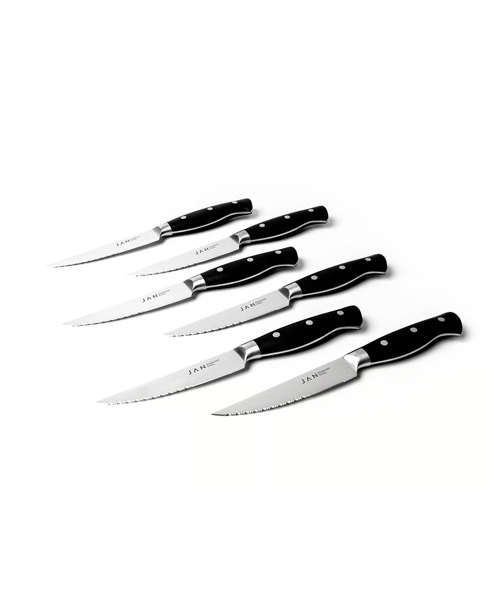 Jan Hendrik Steak Knife Set of 6  in Magnetic Box
