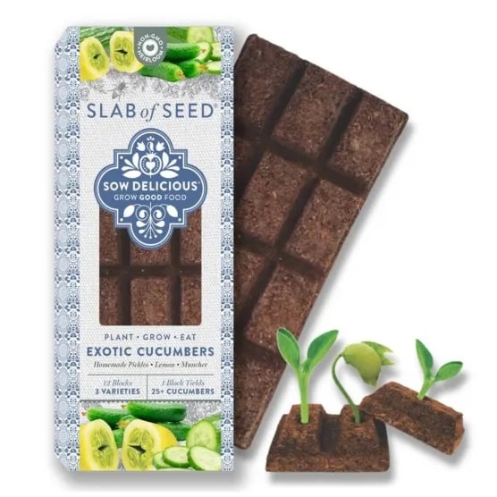 Sow Delicious Exotic Cucumbers