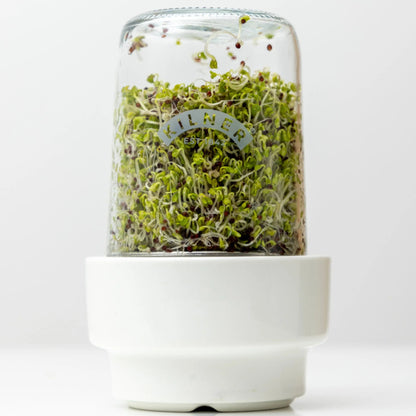 Kilner Sprouting Set