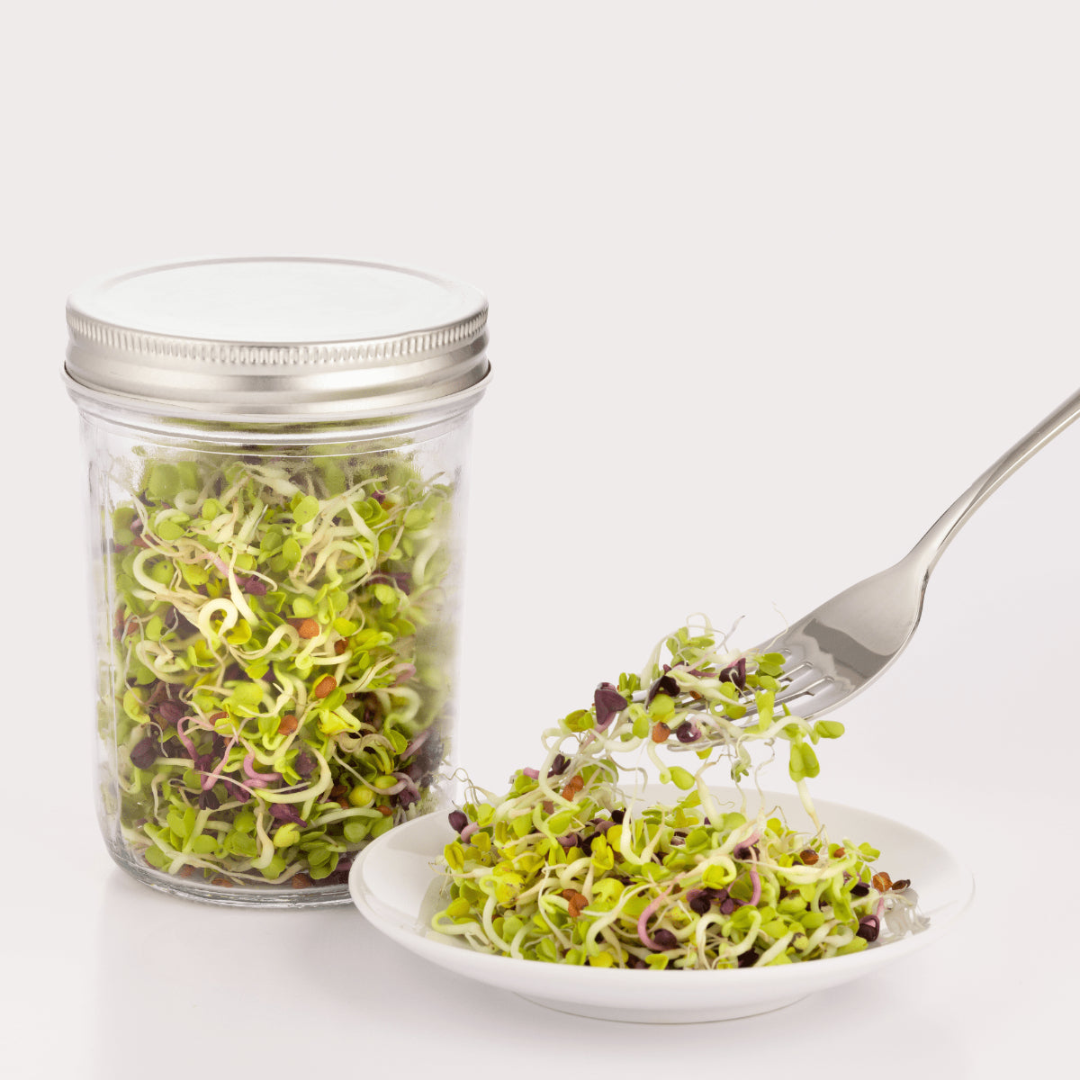 Kilner Sprouting Set