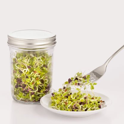 Kilner Sprouting Set