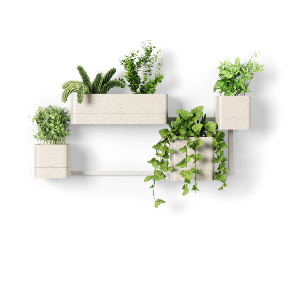 Umbra Cubiko Wall Planter White