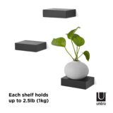 Umbra Showcase Shelves Set of 3 Black