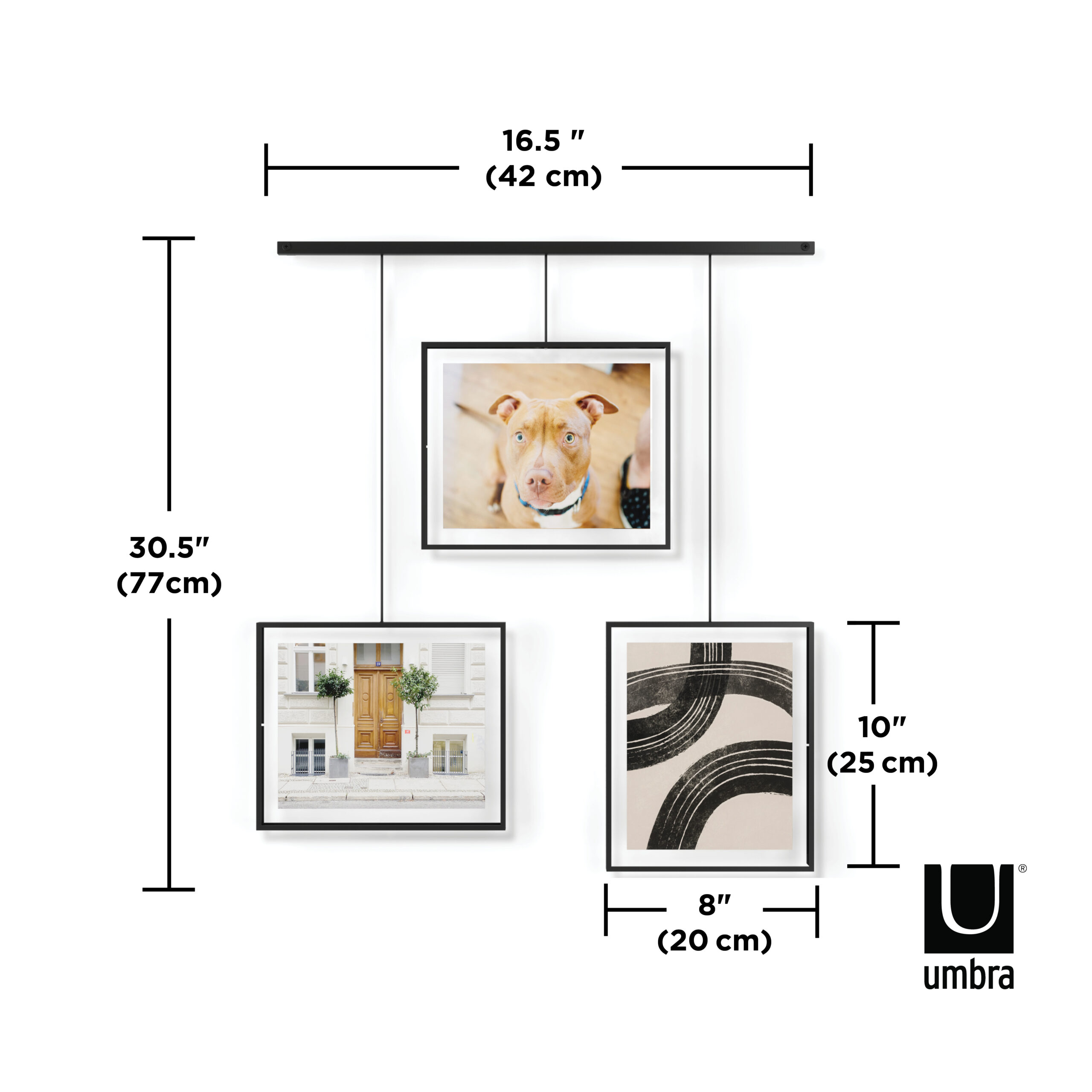 Umbra Exhibit Photo Display 20x25 Black